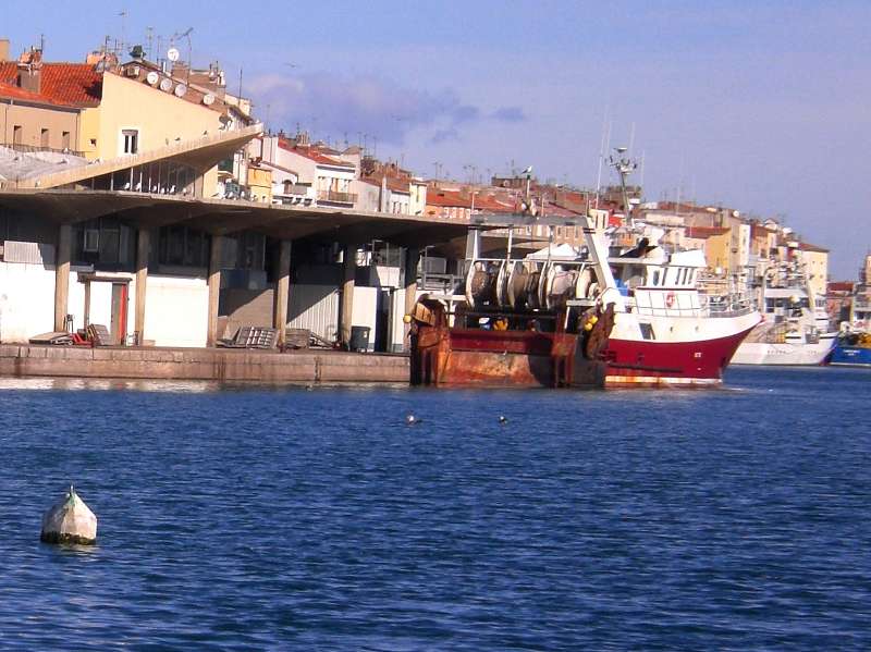 Mole St Louis Sete