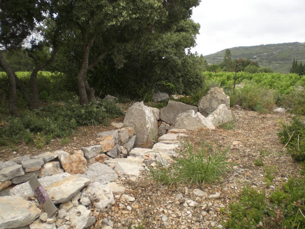 Le dolmen de Frontignan